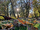 JESIEŃ ZATRZYMANA W KADRZE - KONKURS FOTOGRAFICZNY Autorka: Agnieszka