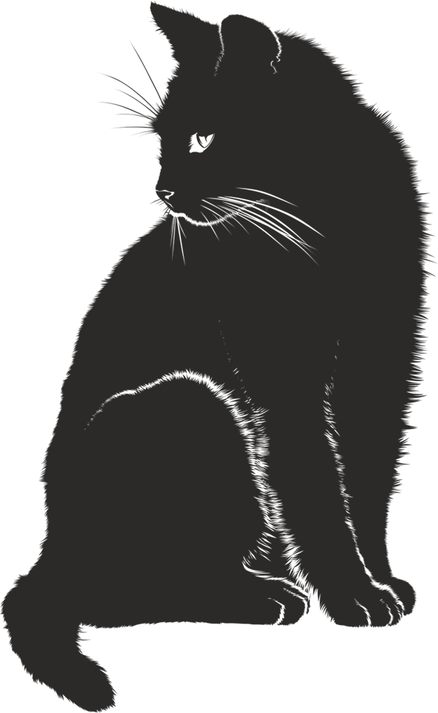 kot