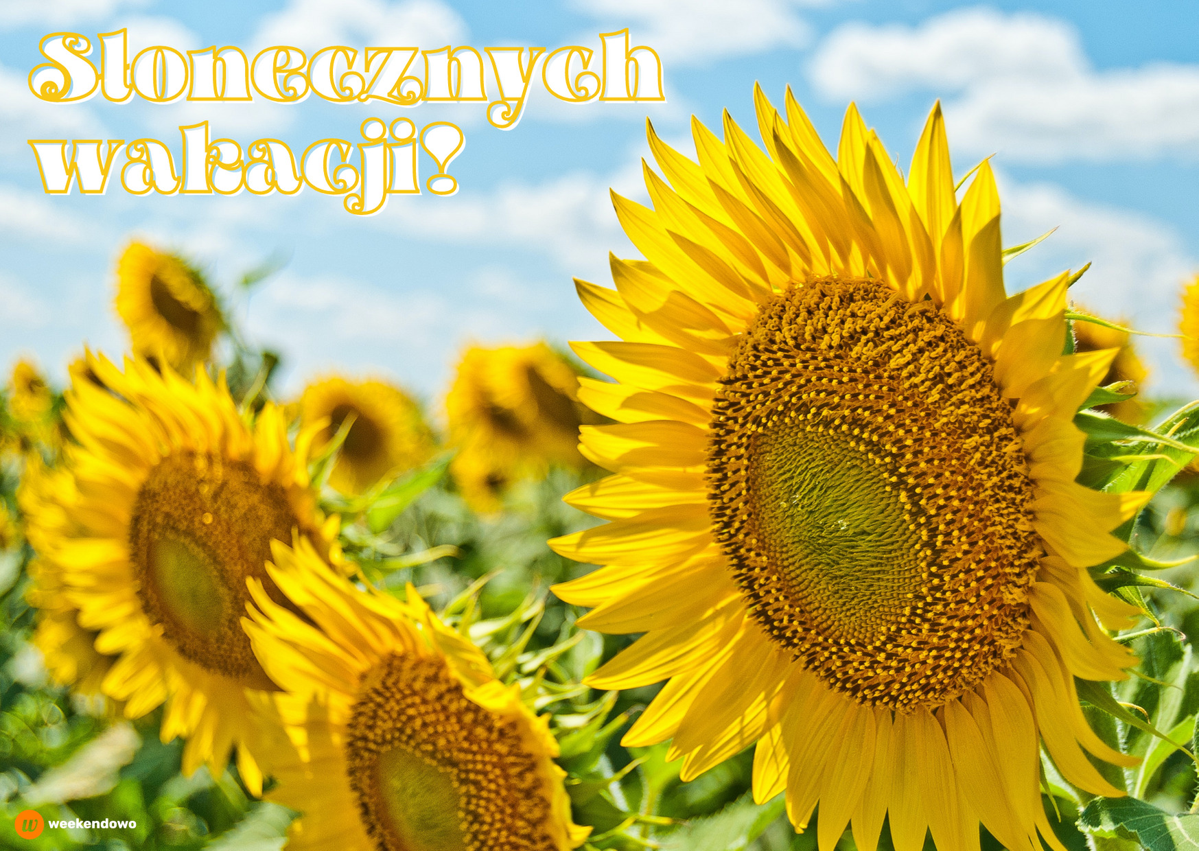slonecznych wakacji kartka3 2